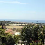 Sunny Hill